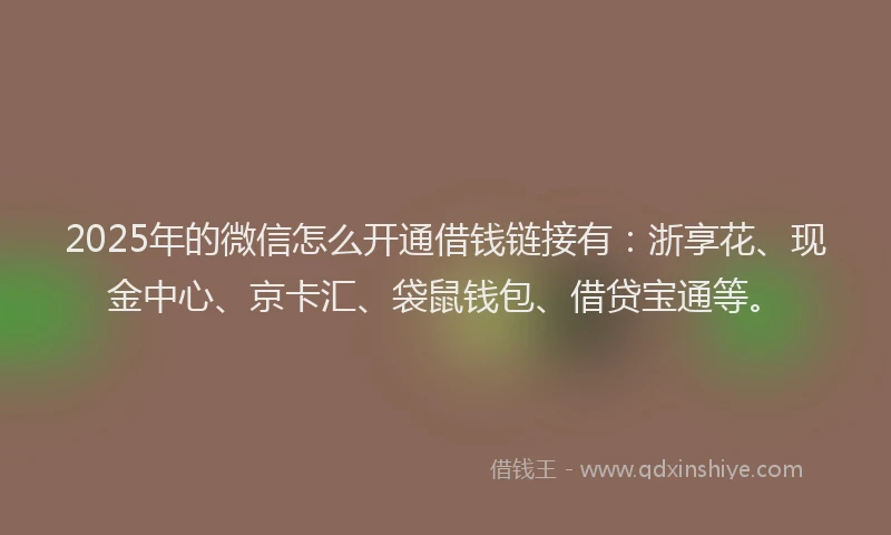 2025年的微信怎么开通借钱链接有：浙享花、现金中心、京卡汇、袋鼠钱包、借贷宝通等。