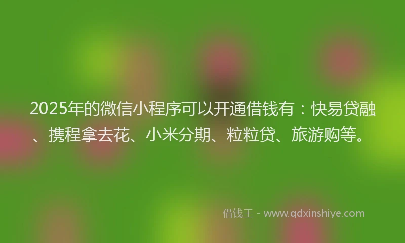 2025年的微信小程序可以开通借钱有：快易贷融、携程拿去花、小米分期、粒粒贷、旅游购等。
