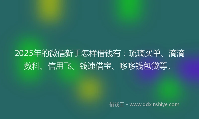 2025年的微信新手怎样借钱有：琉璃买单、滴滴数科、信用飞、钱速借宝、哆哆钱包贷等。
