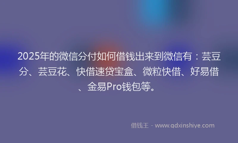 2025年的微信分付如何借钱出来到微信有：芸豆分、芸豆花、快借速贷宝盒、微粒快借、好易借、金易Pro钱包等。