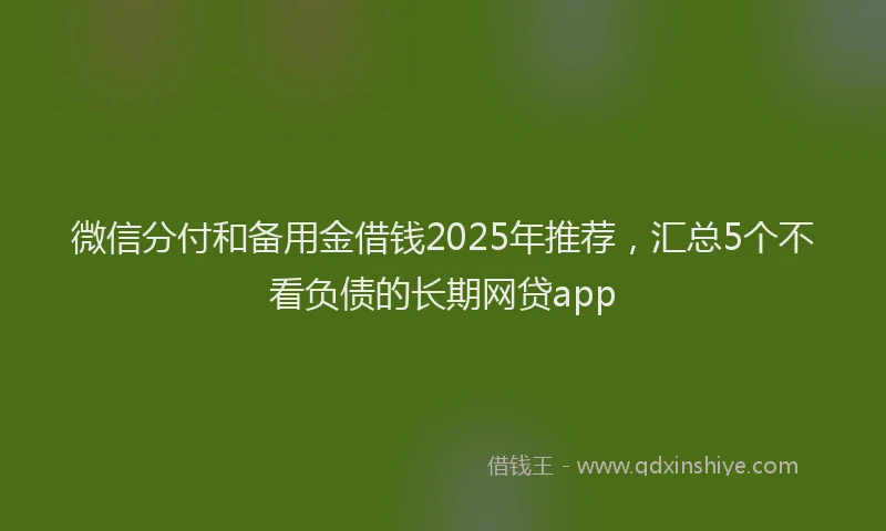 微信分付和备用金借钱2025年推荐，汇总5个不看负债的长期网贷app