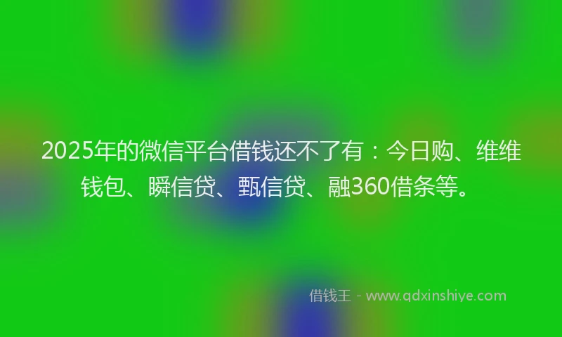 2025年的微信平台借钱还不了有：今日购、维维钱包、瞬信贷、甄信贷、融360借条等。