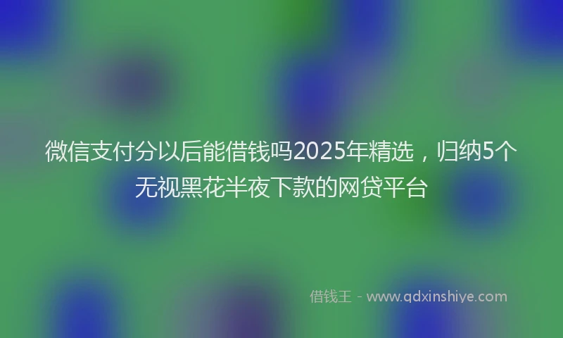 微信支付分以后能借钱吗2025年精选，归纳5个无视黑花半夜下款的网贷平台
