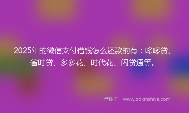 2025年的微信支付借钱怎么还款的有：哆哆贷、省时贷、多多花、时代花、闪贷通等。