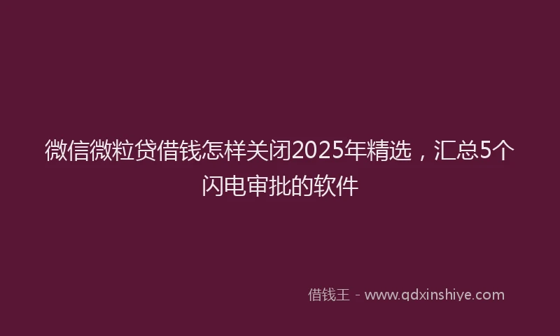 微信微粒贷借钱怎样关闭2025年精选，汇总5个闪电审批的软件