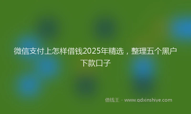 微信支付上怎样借钱2025年精选，整理五个黑户下款口子
