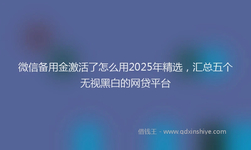 微信备用金激活了怎么用2025年精选，汇总五个无视黑白的网贷平台