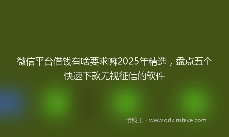 微信平台借钱有啥要求嘛2025年精选，盘点五个快速下款无视征信的软件