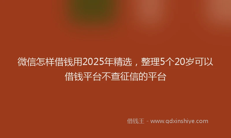 微信怎样借钱用2025年精选，整理5个20岁可以借钱平台不查征信的平台