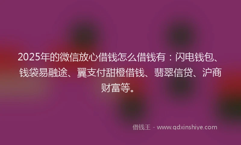 2025年的微信放心借钱怎么借钱有：闪电钱包、钱袋易融途、翼支付甜橙借钱、翡翠信贷、沪商财富等。