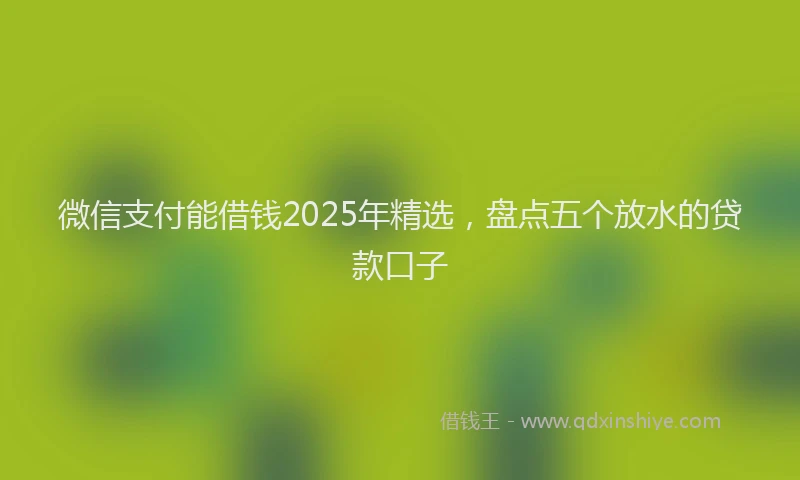 微信支付能借钱2025年精选，盘点五个放水的贷款口子