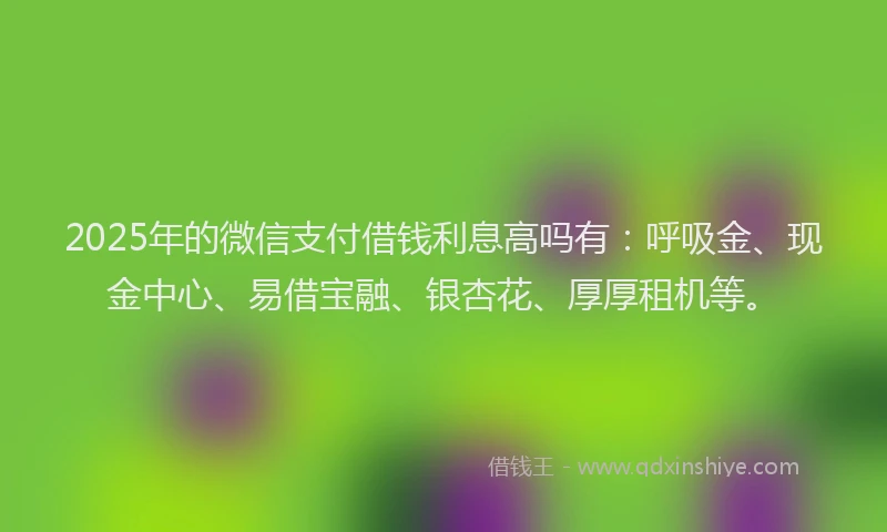 2025年的微信支付借钱利息高吗有：呼吸金、现金中心、易借宝融、银杏花、厚厚租机等。
