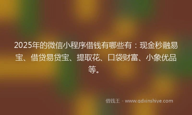 2025年的微信小程序借钱有哪些有：现金秒融易宝、借贷易贷宝、提取花、口袋财富、小象优品等。