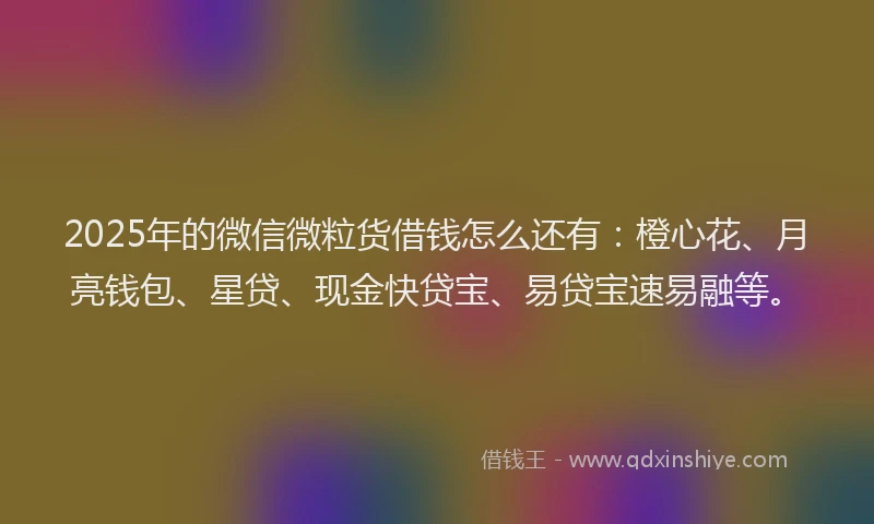 2025年的微信微粒货借钱怎么还有：橙心花、月亮钱包、星贷、现金快贷宝、易贷宝速易融等。