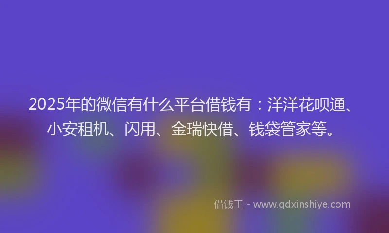 2025年的微信有什么平台借钱有：洋洋花呗通、小安租机、闪用、金瑞快借、钱袋管家等。