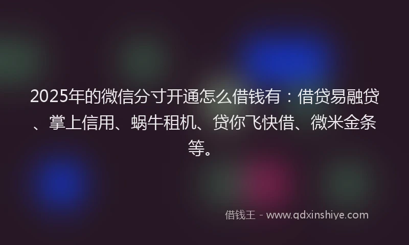 2025年的微信分寸开通怎么借钱有：借贷易融贷、掌上信用、蜗牛租机、贷你飞快借、微米金条等。