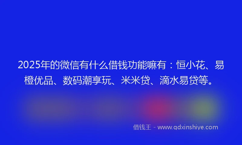 2025年的微信有什么借钱功能嘛有：恒小花、易橙优品、数码潮享玩、米米贷、滴水易贷等。