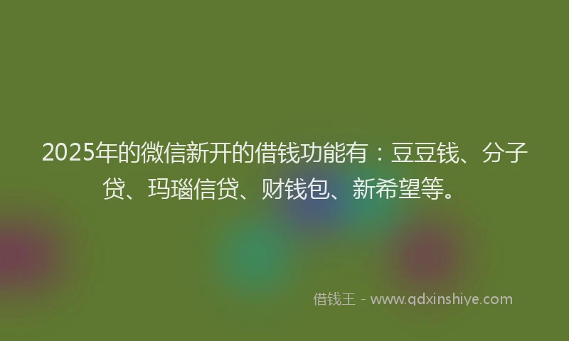 2025年的微信新开的借钱功能有：豆豆钱、分子贷、玛瑙信贷、财钱包、新希望等。