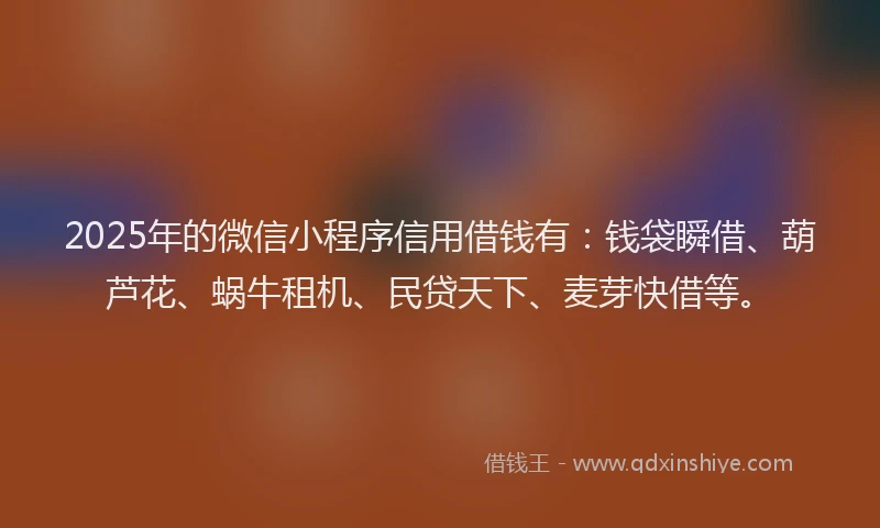 2025年的微信小程序信用借钱有：钱袋瞬借、葫芦花、蜗牛租机、民贷天下、麦芽快借等。