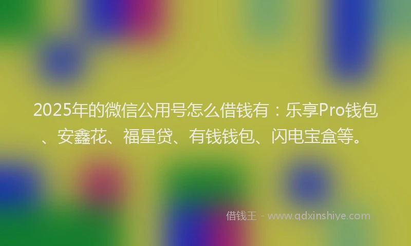 2025年的微信公用号怎么借钱有：乐享Pro钱包、安鑫花、福星贷、有钱钱包、闪电宝盒等。