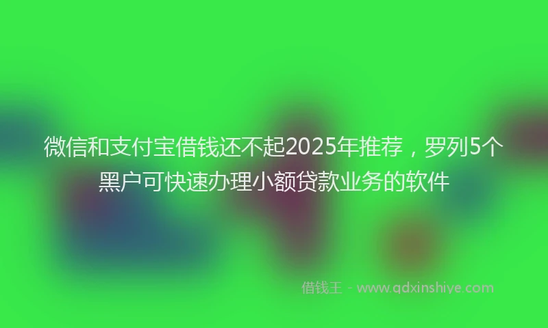 微信和支付宝借钱还不起2025年推荐，罗列5个黑户可快速办理小额贷款业务的软件
