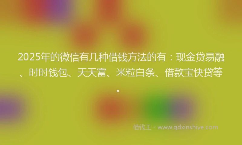 2025年的微信有几种借钱方法的有：现金贷易融、时时钱包、天天富、米粒白条、借款宝快贷等。