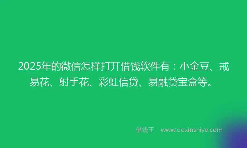 2025年的微信怎样打开借钱软件有：小金豆、戒易花、射手花、彩虹信贷、易融贷宝盒等。