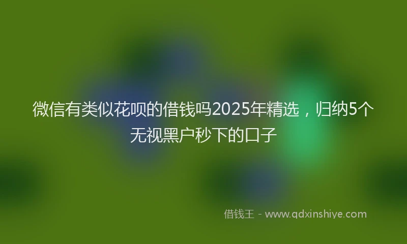 微信有类似花呗的借钱吗2025年精选，归纳5个无视黑户秒下的口子