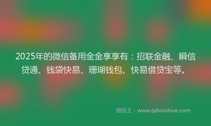 2025年的微信备用金金享享有：招联金融、瞬信贷通、钱袋快易、珊瑚钱包、快易借贷宝等。