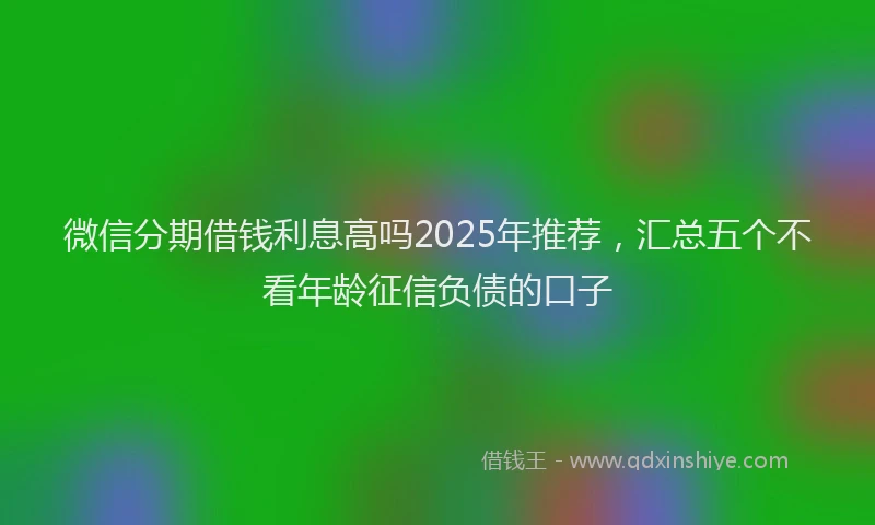 微信分期借钱利息高吗2025年推荐，汇总五个不看年龄征信负债的口子