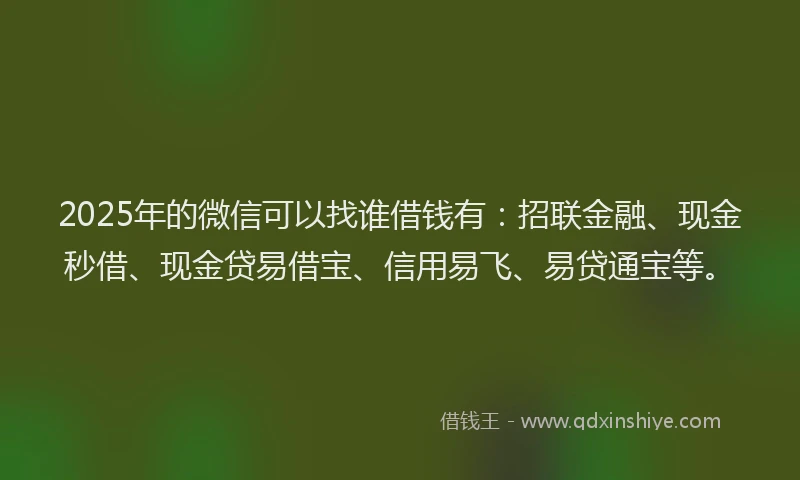 2025年的微信可以找谁借钱有：招联金融、现金秒借、现金贷易借宝、信用易飞、易贷通宝等。
