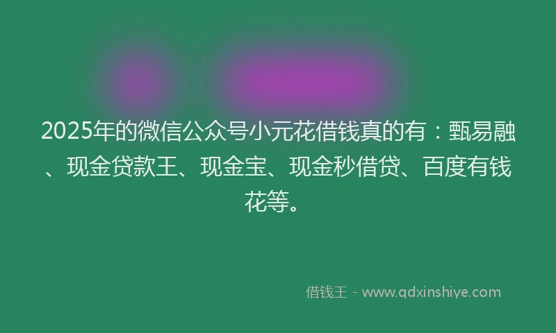 2025年的微信公众号小元花借钱真的有：甄易融、现金贷款王、现金宝、现金秒借贷、百度有钱花等。