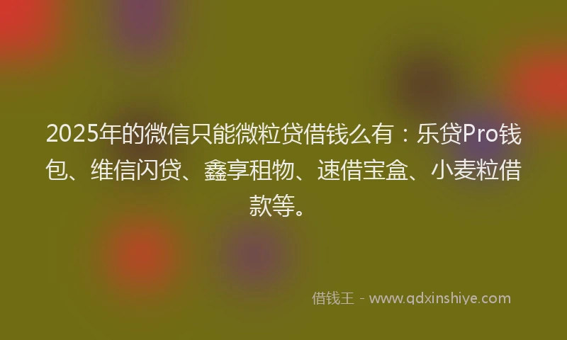 2025年的微信只能微粒贷借钱么有：乐贷Pro钱包、维信闪贷、鑫享租物、速借宝盒、小麦粒借款等。