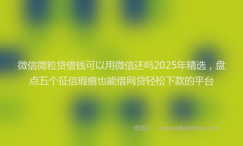 微信微粒贷借钱可以用微信还吗2025年精选，盘点五个征信瑕疵也能借网贷轻松下款的平台