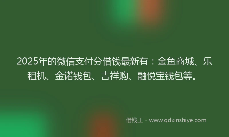 2025年的微信支付分借钱最新有：金鱼商城、乐租机、金诺钱包、吉祥购、融悦宝钱包等。