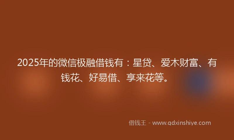 2025年的微信极融借钱有：星贷、爱木财富、有钱花、好易借、享来花等。