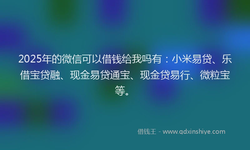 2025年的微信可以借钱给我吗有：小米易贷、乐借宝贷融、现金易贷通宝、现金贷易行、微粒宝等。