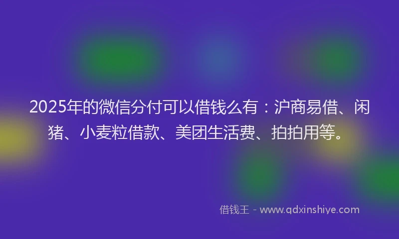 2025年的微信分付可以借钱么有：沪商易借、闲猪、小麦粒借款、美团生活费、拍拍用等。