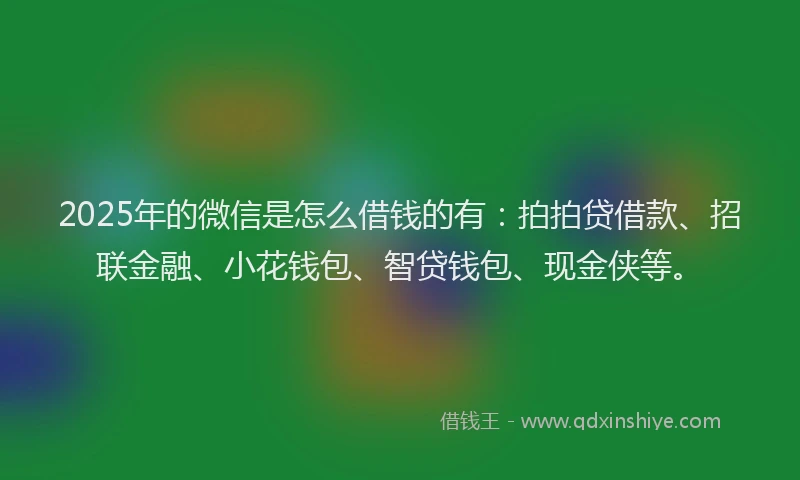 2025年的微信是怎么借钱的有：拍拍贷借款、招联金融、小花钱包、智贷钱包、现金侠等。