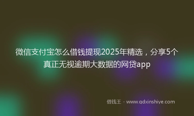 微信支付宝怎么借钱提现2025年精选，分享5个真正无视逾期大数据的网贷app