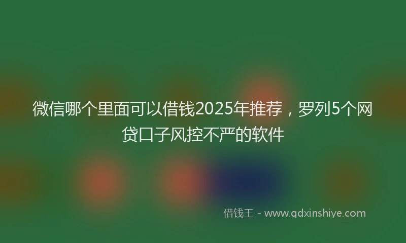微信哪个里面可以借钱2025年推荐，罗列5个网贷口子风控不严的软件