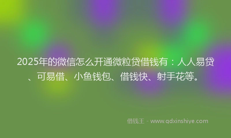 2025年的微信怎么开通微粒贷借钱有：人人易贷、可易借、小鱼钱包、借钱快、射手花等。