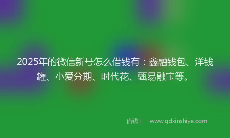 2025年的微信新号怎么借钱有：鑫融钱包、洋钱罐、小爱分期、时代花、甄易融宝等。