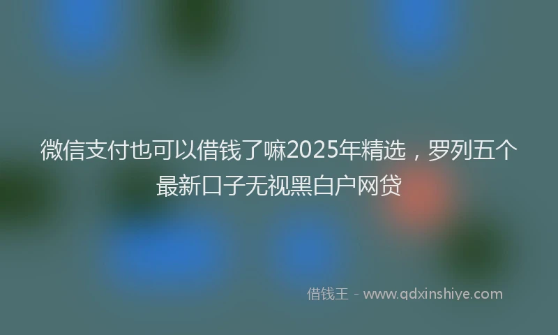 微信支付也可以借钱了嘛2025年精选，罗列五个最新口子无视黑白户网贷