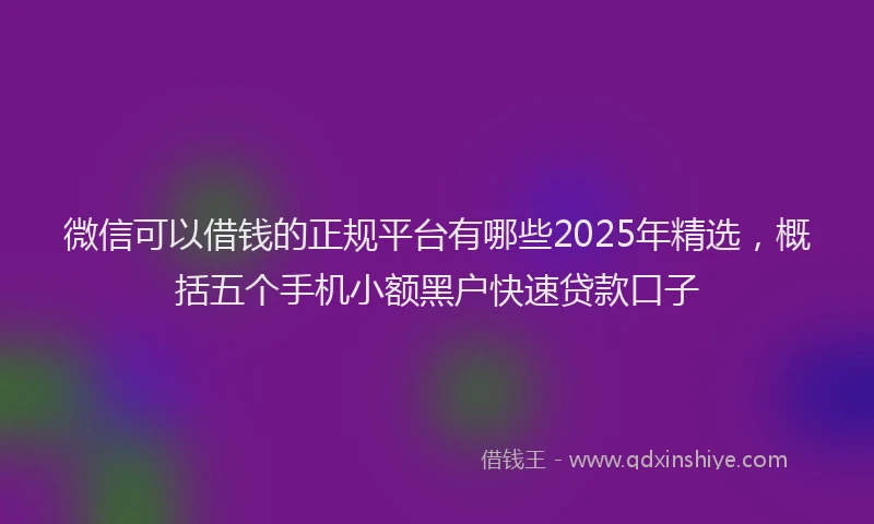 微信可以借钱的正规平台有哪些2025年精选，概括五个手机小额黑户快速贷款口子