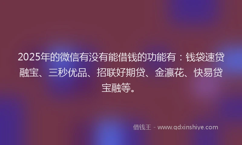 2025年的微信有没有能借钱的功能有：钱袋速贷融宝、三秒优品、招联好期贷、金瀛花、快易贷宝融等。
