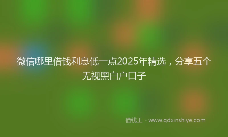 微信哪里借钱利息低一点2025年精选，分享五个无视黑白户口子