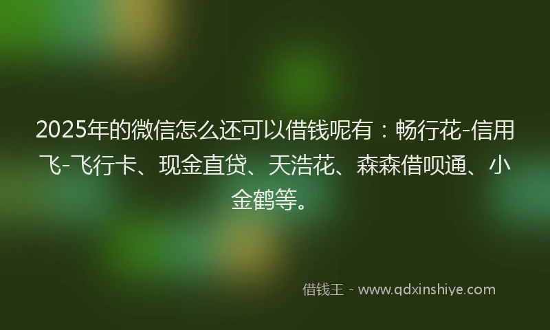 2025年的微信怎么还可以借钱呢有：畅行花-信用飞-飞行卡、现金直贷、天浩花、森森借呗通、小金鹤等。