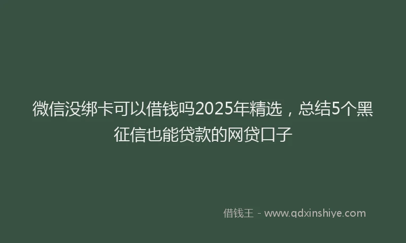 微信没绑卡可以借钱吗2025年精选，总结5个黑征信也能贷款的网贷口子