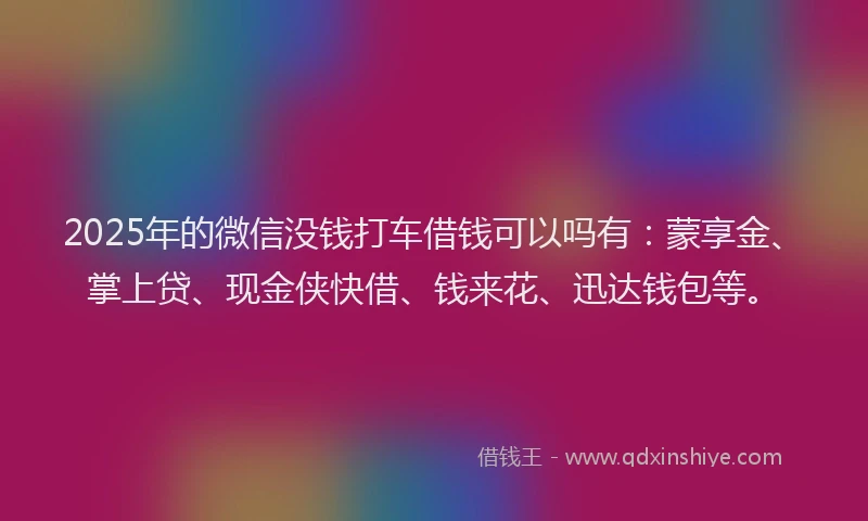 2025年的微信没钱打车借钱可以吗有：蒙享金、掌上贷、现金侠快借、钱来花、迅达钱包等。